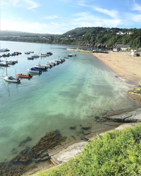 Awelfryn Βίλα New Quay  Εξωτερικό φωτογραφία